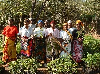 tree farmers